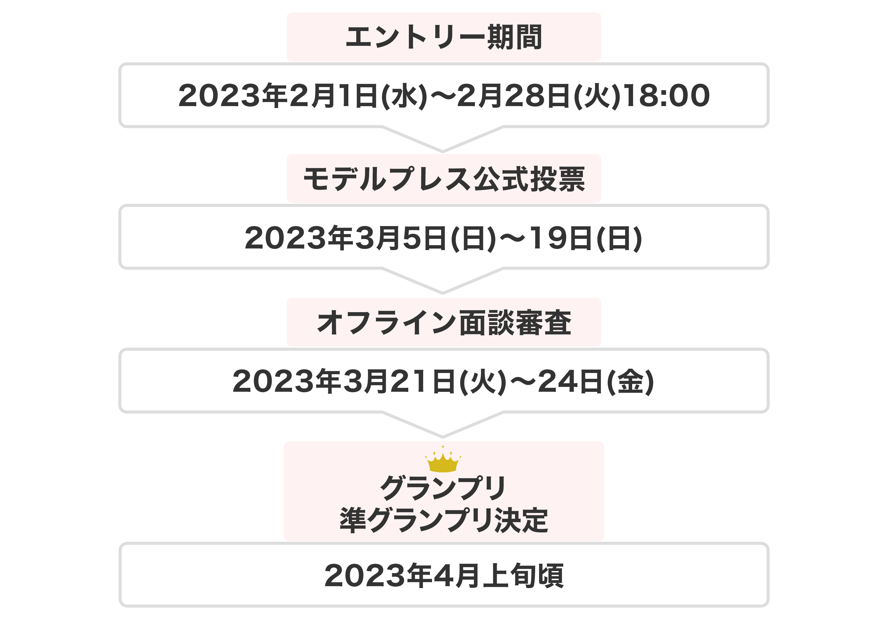 スケジュール
